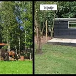 Het Zwarte Paard *