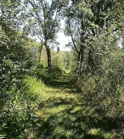 Het Zwarte Paard