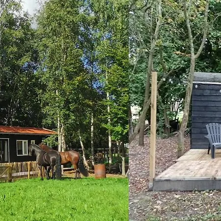 Het Zwarte Paard * Gameren