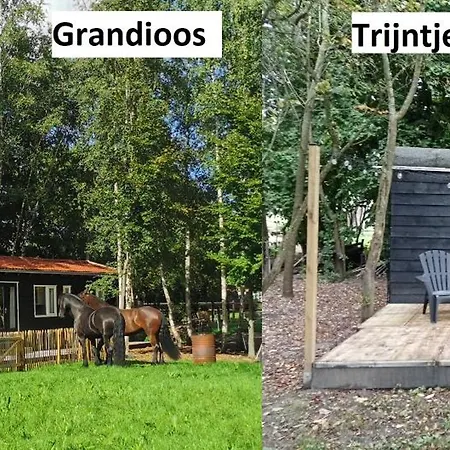 Het Zwarte Paard Σαλέ