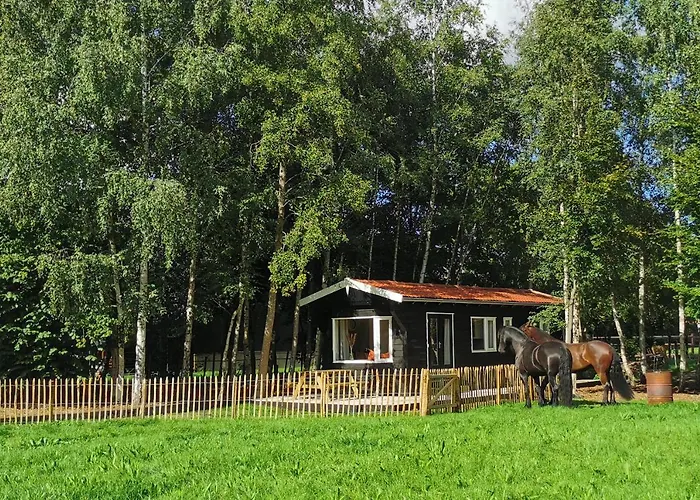 Het Zwarte Paard * Gameren