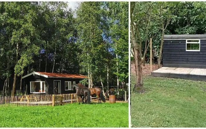 Het Zwarte Paard * Gameren