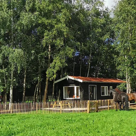 Het Zwarte Paard * Gameren